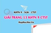 Giải KHTN 9 trang 13 Chân trời sáng tạo SGK